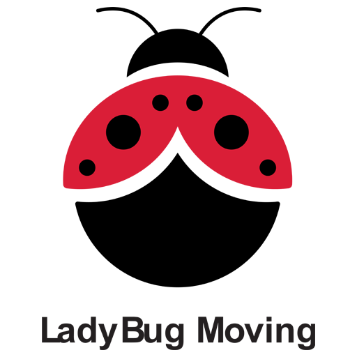 Lady Bug Moving
